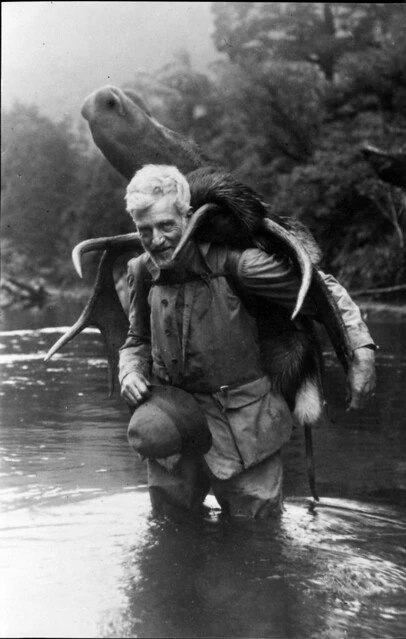 Hunter and moose, New Zealand, date unknown