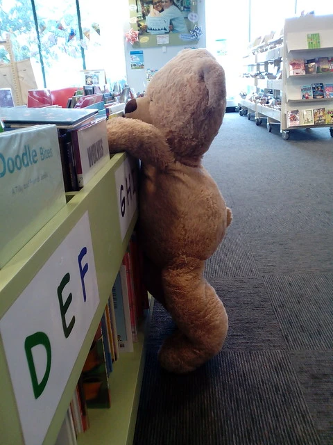 Teddy wants a book