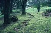 MOUNT MACEDON DEVONSHIRE LANE 015, KARORI MRCHLS slides 1992   16
