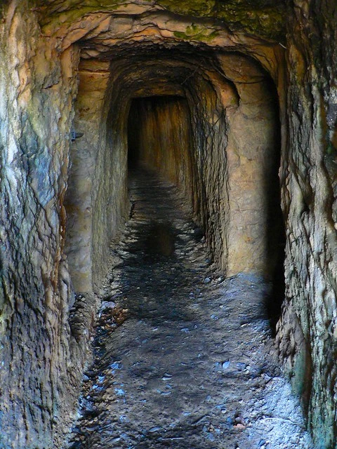 Gold mine, Thames, Coromandel Peninsula, New Zealand