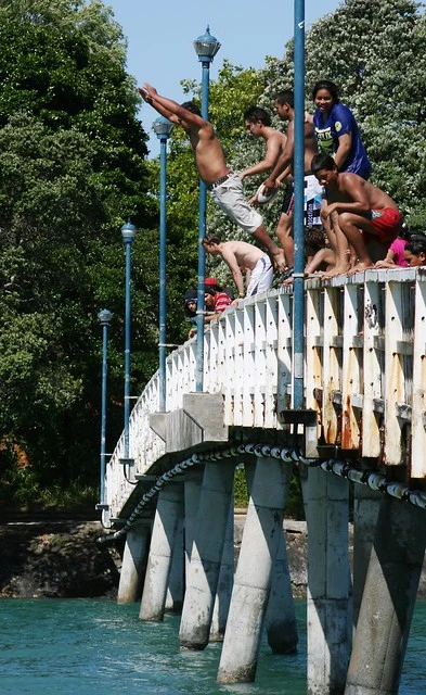 Bridge jumper