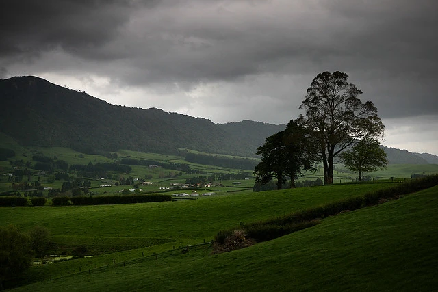 Waikato farmland, Kaimai ranges, Old Te Aroha Road, NZ