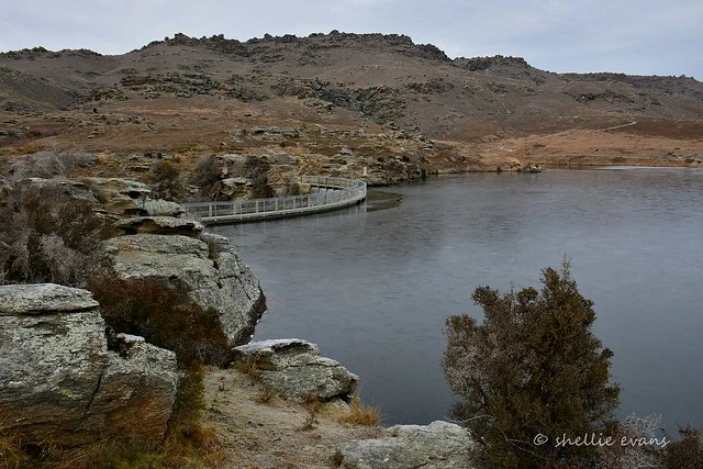 Frozen- Butchers Dam, Flat Top Hill Conservation Park, Central Otago, NZ
