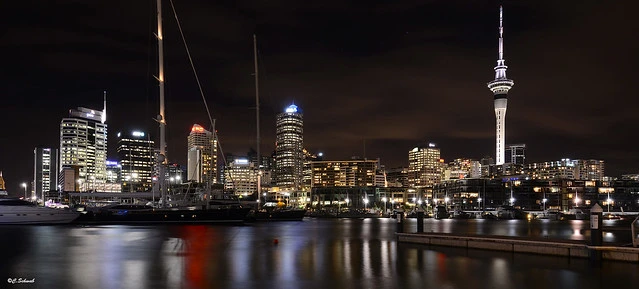 Auckland marina at night