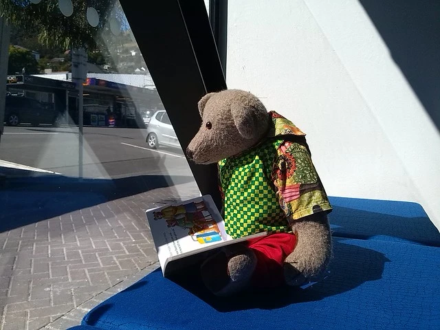 Teddy reads a story in the sun, Lyttelton Library