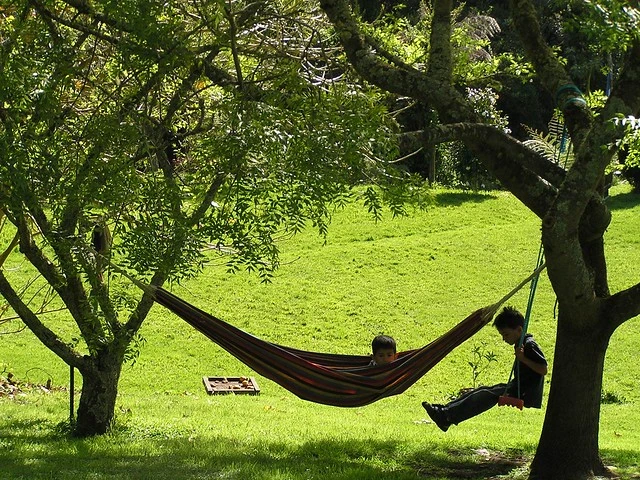 Peaceful Garden