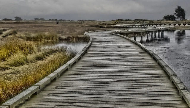 boardwalk #2