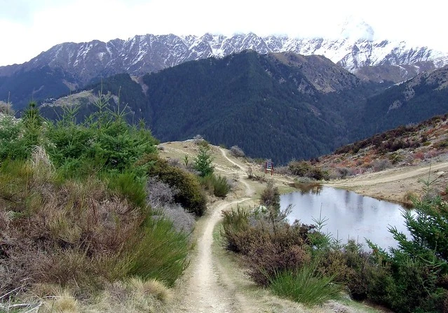 The roads on Queenstown Hill