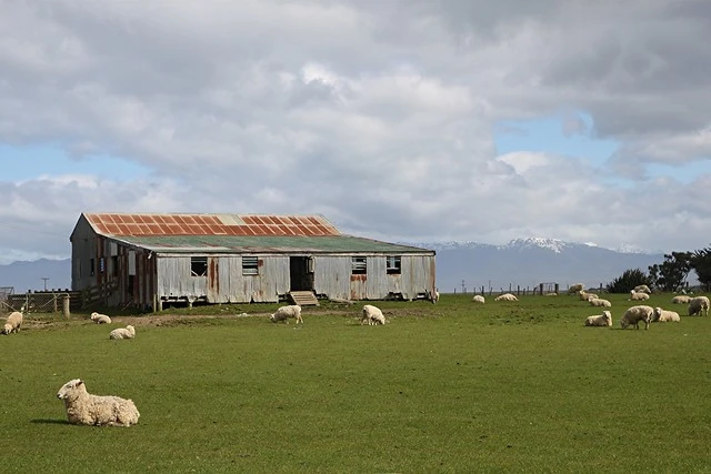 Old shearing shed, Te Waewae Bay, Southland, New Zealand