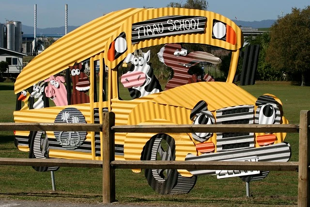 Tirau School bus