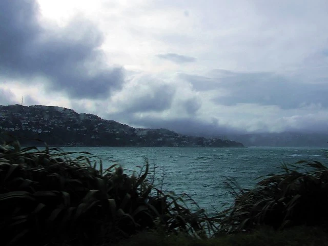 Windy Wellington