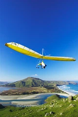 Otago Peninsula, New Zealand