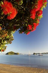 Paihia, New Zealand