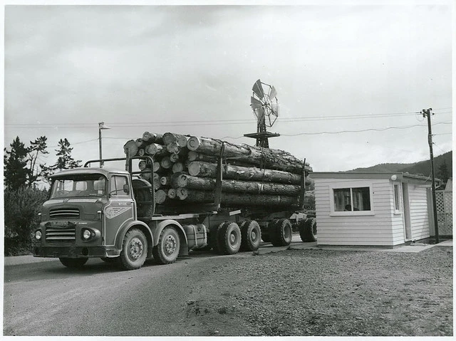 A timber truck being weighed at the weighing station at Golden Downs