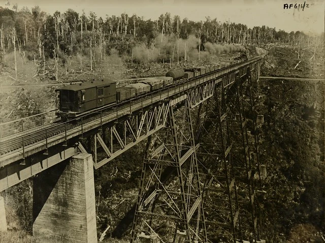 Train on viaduct