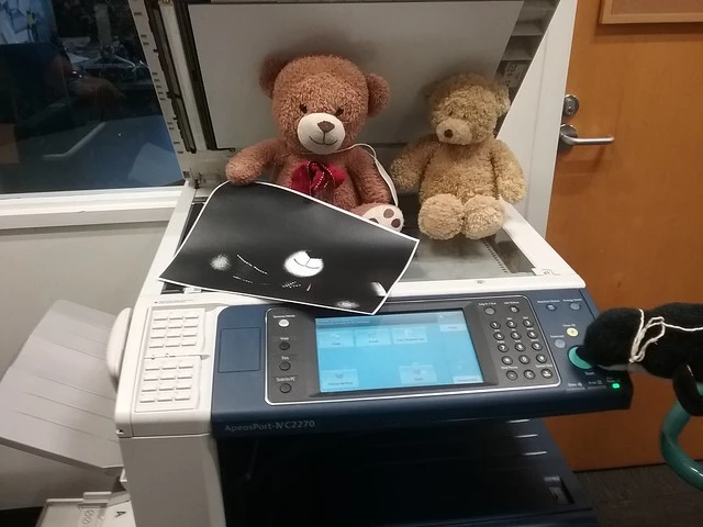 Photocopier fun, Teddy bear sleepover