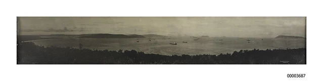 Transports with first Australian and New Zealand Expeditionary Forces, lying in King George Sound