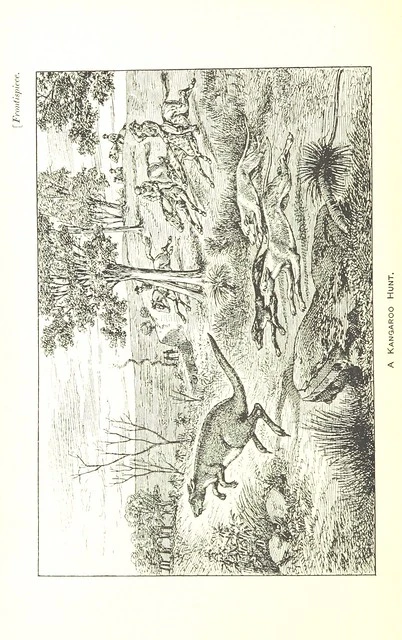 British Library digitised image from page 8 of "Kangaroo and Kauri. Sketches and anecdotes of Australia and New Zealand, etc"