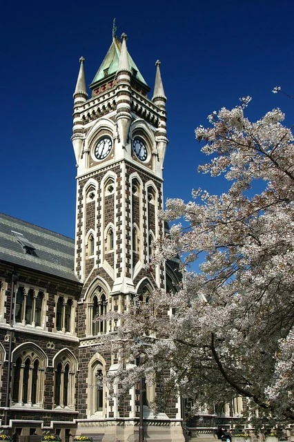 Dunedin: University of Otago clocktower building (c.1879) (3)