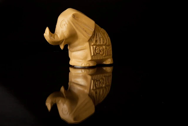 Kashin the Elephant