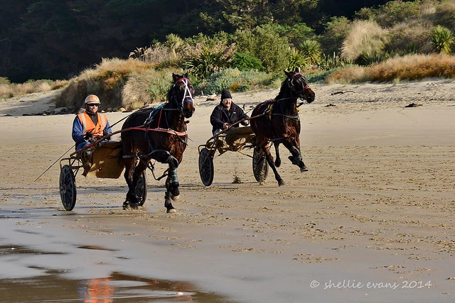 Beach Exercise, Waikouaiti