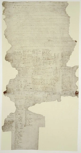 International Archives Day (Treaty of Waitangi)