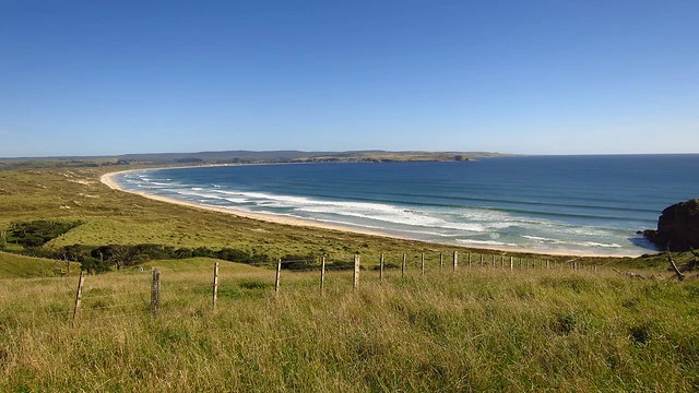 Petre Bay, Chatham Island