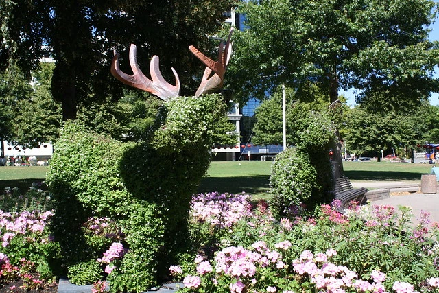 Topiary