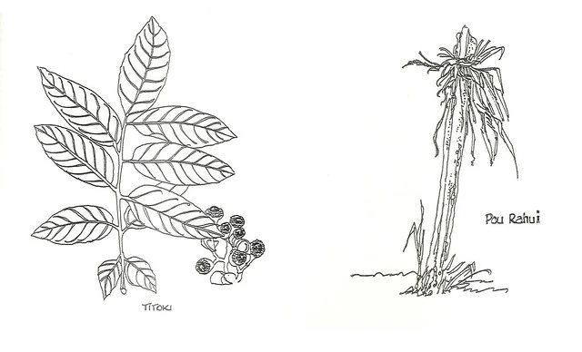 Rongoā - Māori Medicinal Plants