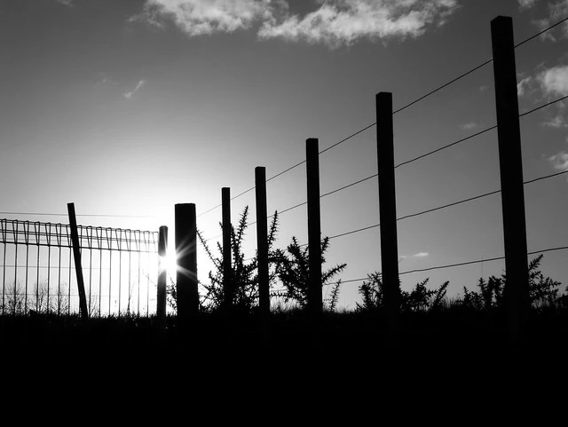 Fence Line