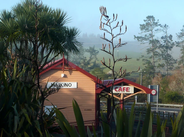 waikino
