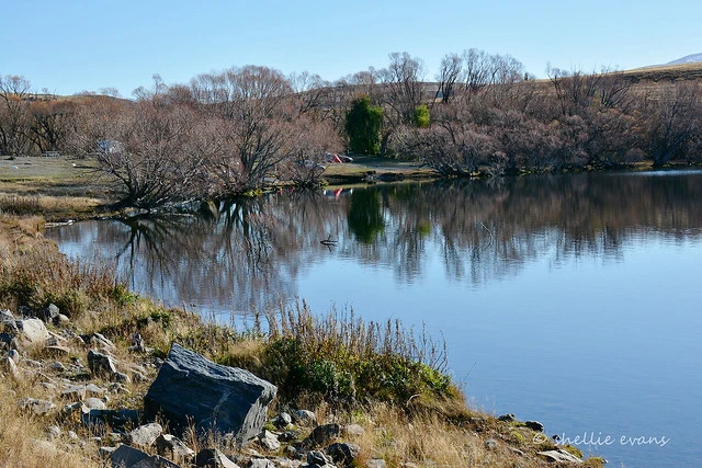 Lake McGregor DOC Camp, Tekapo, MacKenzie Country, NZ