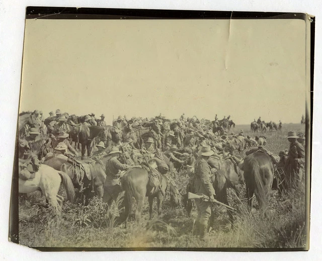 Boer War - 7th Contingent, troops and horses resting
