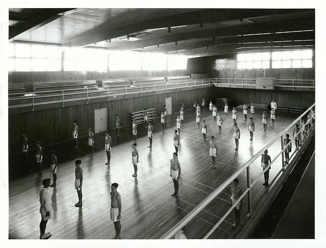 Avondale Technical High School, Auckland - Gymnasium - Physical Education