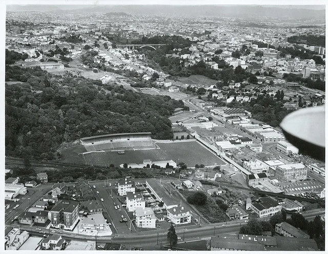 Aerial view of Carlaw Park, Auckland