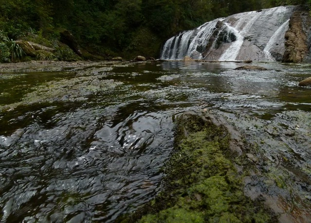 Coal Creek Falls - Runanga