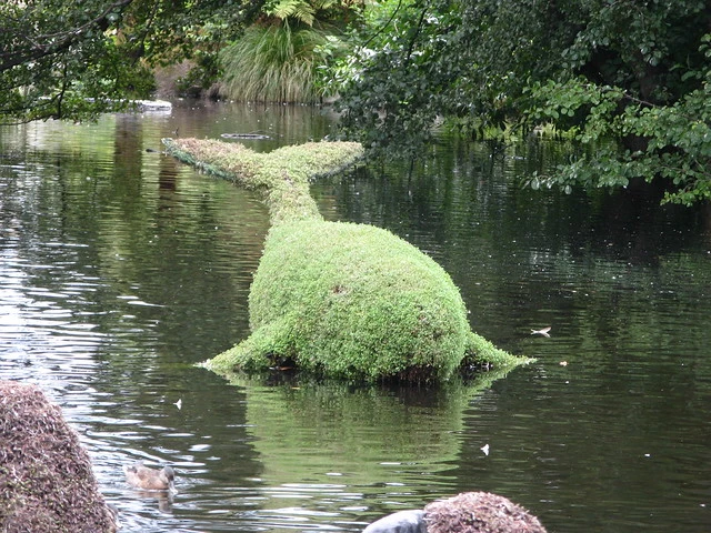 Whale in the Botanic Gardens