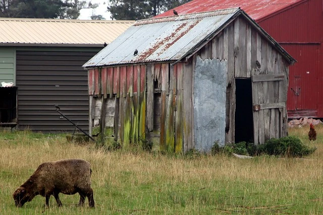 Old building, Bunnythorpe, Manawatu, New Zealand