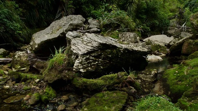 Limestone Boulders, Bullock Creek, Paparoa National Park