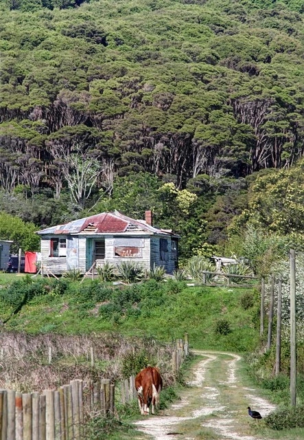 Old house, Manaia, Coromandel, New Zealand