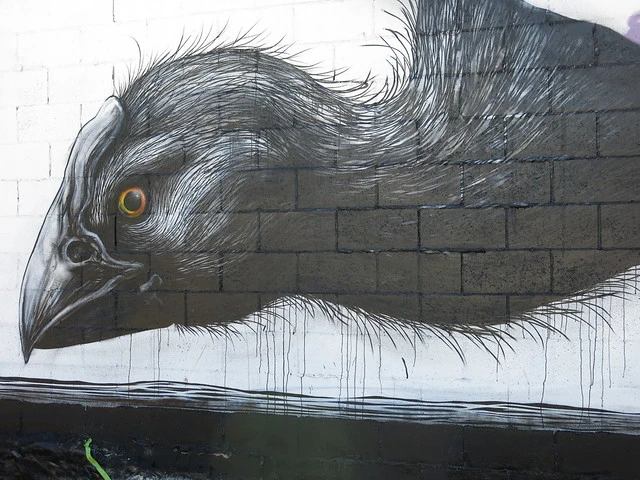 Big walls - street art on Hereford Street