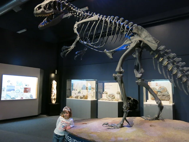 Dinosaurs at Canterbury Museum