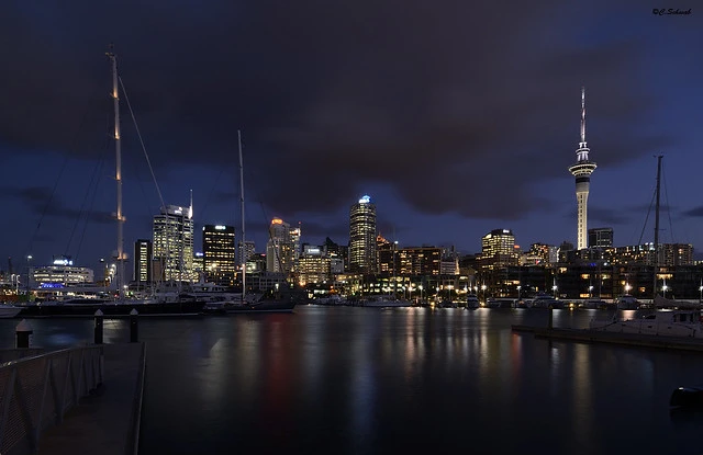 Auckland marina at dusk