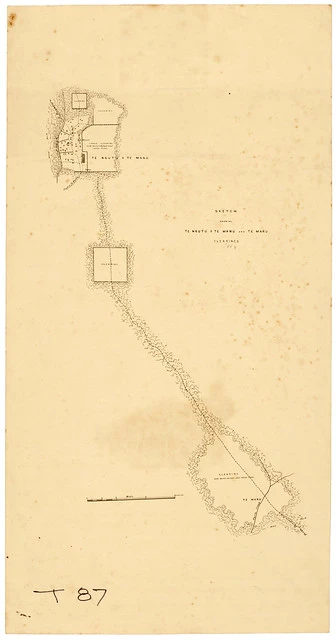 Battle of Te Ngutu o te Manu, 1868