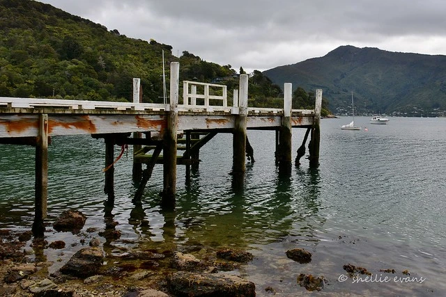 Momorangi Jetty, Grove Arm, Queen Charlotte Sound