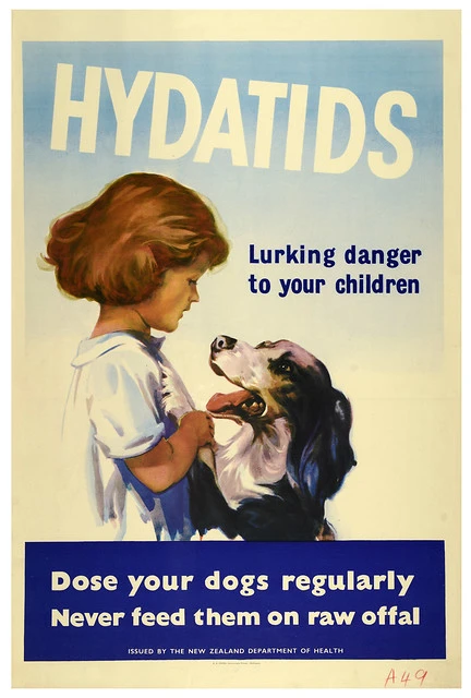 Hydatids Lurking Danger to Your Children