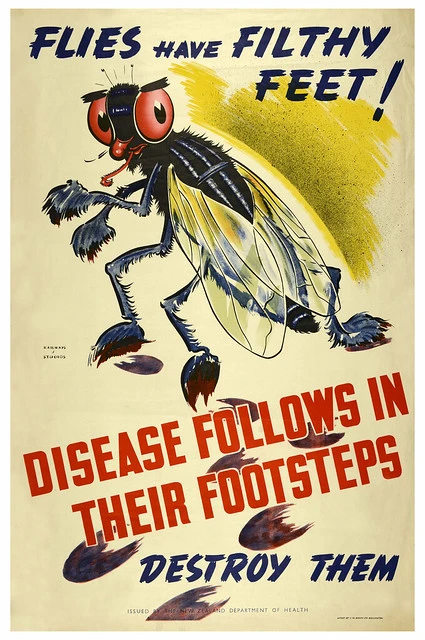 Flies Have Filthy Feet