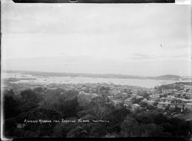 Waitemata Harbour from Auckland Domain