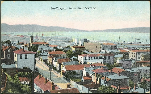 Postcard. Wellington from the Terrace. G & G series, no. 116. Printed in Berlin. [1904-1914].