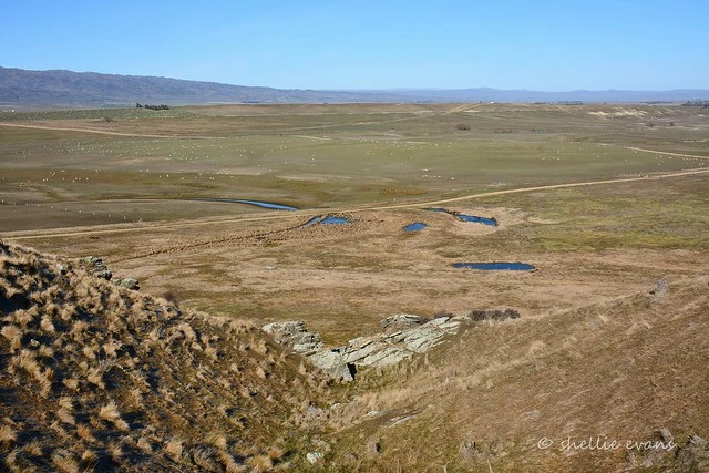 Ida Valley, Central Otago, NZ